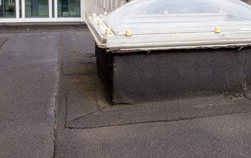 disadvantages of Cwm Y Glo flat roofs