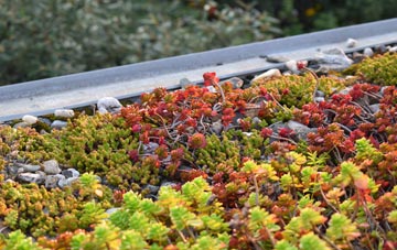 the cost of Cwm Y Glo green roof installation