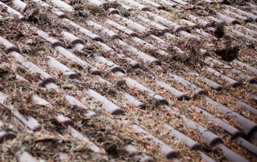 Cwm Y Glo roof cleaning companies