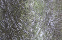 Cwm Y Glo fibreglass roof work